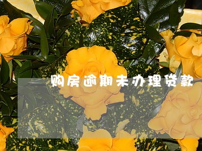 购房逾期未办理贷款 购房逾期未办理贷款