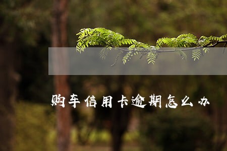 购车信用卡逾期怎么办 购车信用卡逾期怎么办