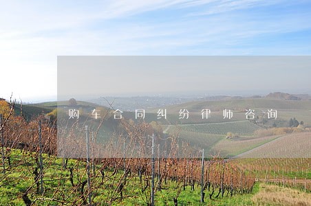 购车合同纠纷律师咨询 购车合同纠纷律师咨询