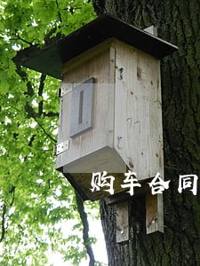 购车合同纠纷律师费用 购车合同纠纷律师费用