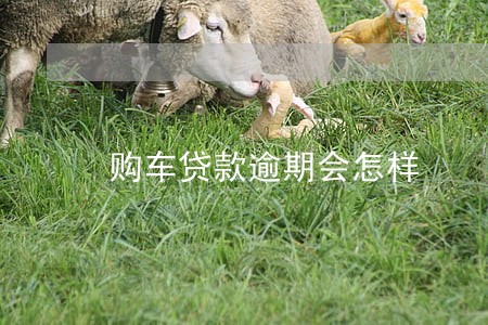 购车贷款逾期会怎样 购车贷款逾期会怎样