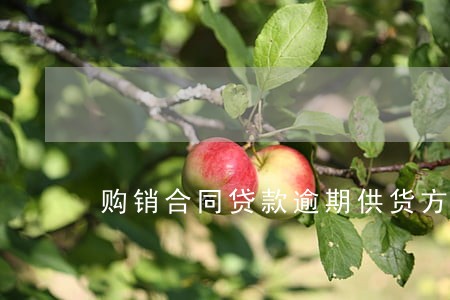 购销合同贷款逾期供货方 购销合同贷款逾期供货方