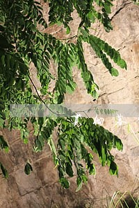 贯彻落实保密违法处分建议办法 贯彻落实保密违法处分建议办法