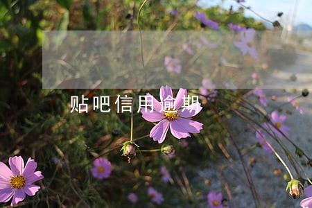 贴吧信用逾期 贴吧信用逾期