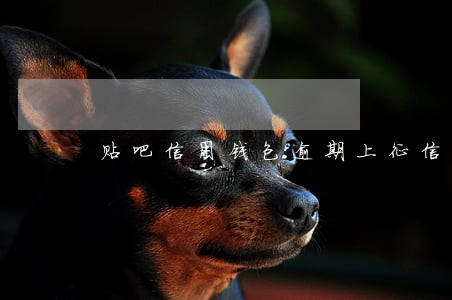 贴吧信用钱包逾期上征信吗 贴吧信用钱包逾期上征信吗