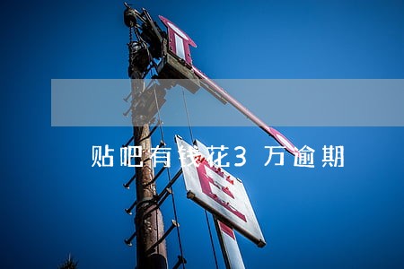 贴吧有钱花3万逾期