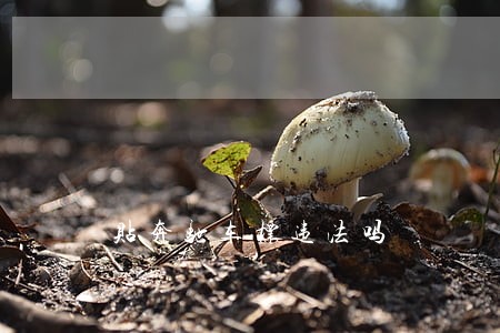贴奔驰车标违法吗 贴奔驰车标违法吗