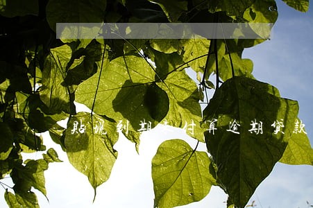 贴现到期未付算逾期贷款吗