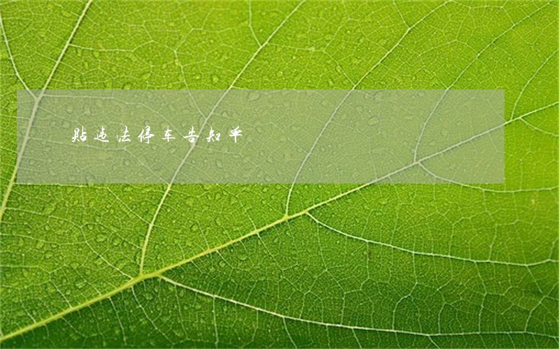 贴违法停车告知单