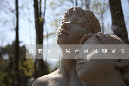 贵安新区房产纠纷哪家胜诉率高 贵安新区房产纠纷哪家胜诉率高