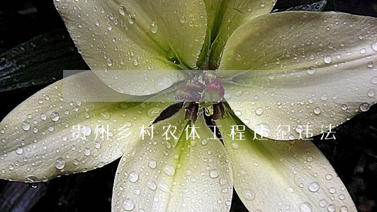 贵州乡村农体工程违纪违法 贵州乡村农体工程违纪违法