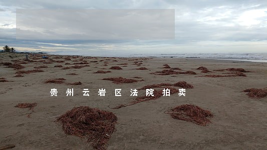 贵州云岩区法院拍卖