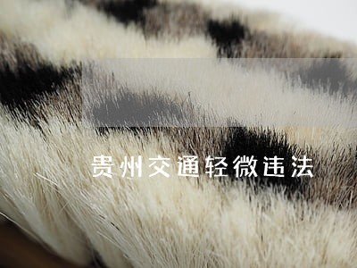 贵州交通轻微违法