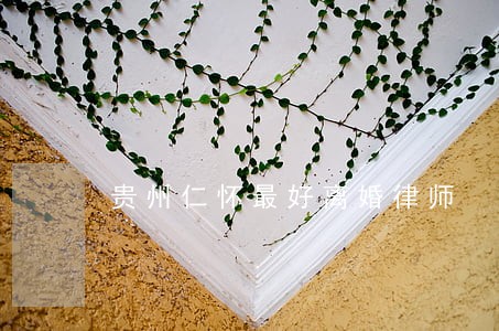 贵州仁怀最好离婚律师 贵州仁怀最好离婚律师