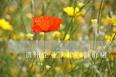 贵州企业法律咨询价格 贵州企业法律咨询价格