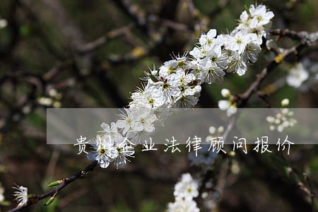 贵州企业法律顾问报价 贵州企业法律顾问报价