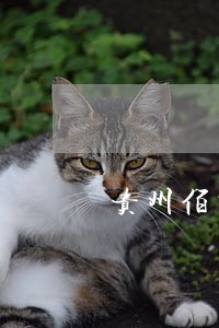 贵州佰所法律咨询 贵州佰所法律咨询