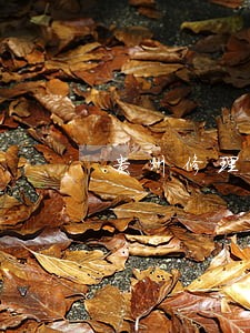 贵州修理合同纠纷律师 贵州修理合同纠纷律师