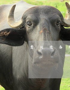 贵州债务纠纷咨询律师哪家正规 贵州债务纠纷咨询律师哪家正规