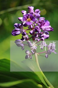 贵州债务纠纷咨询律师找哪家 贵州债务纠纷咨询律师找哪家