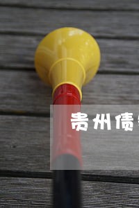 贵州债务纠纷律师找哪家 贵州债务纠纷律师找哪家
