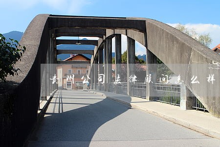 贵州公司法律顾问怎么样 贵州公司法律顾问怎么样