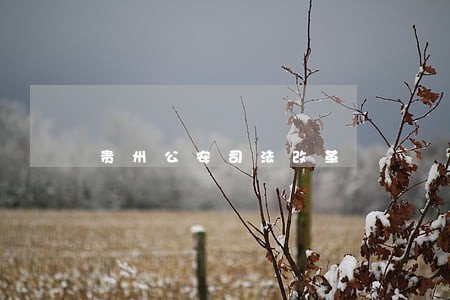 贵州公安司法改革 贵州公安司法改革