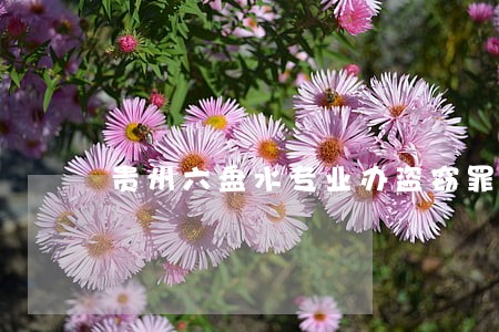 贵州六盘水专业办盗窃罪律师