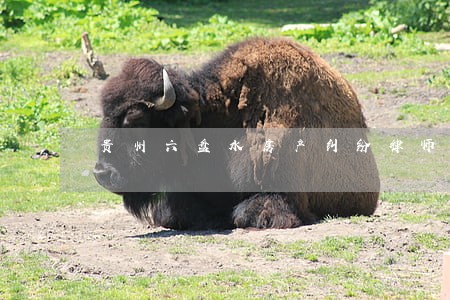 贵州六盘水房产纠纷律师微信咨询 贵州六盘水房产纠纷律师微信咨询