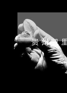 贵州凯里代理刑事辩护律师哪个好 贵州凯里代理刑事辩护律师哪个好