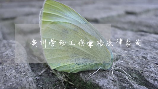 贵州劳动工伤索赔法律咨询 贵州劳动工伤索赔法律咨询