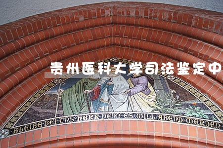 贵州医科大学司法鉴定中心杨 贵州医科大学司法鉴定中心杨
