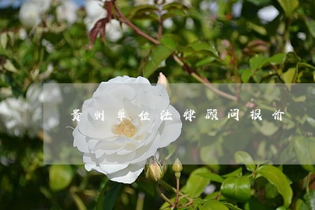 贵州单位法律顾问报价 贵州单位法律顾问报价