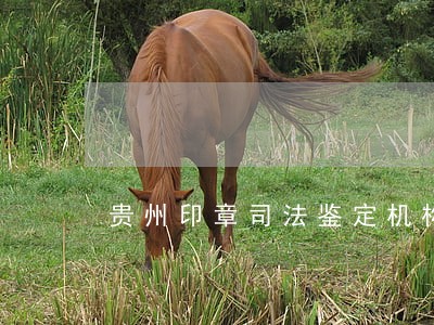 贵州印章司法鉴定机构 贵州印章司法鉴定机构