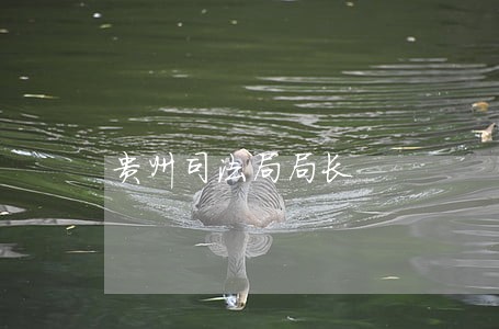 贵州司法局局长 贵州司法局局长