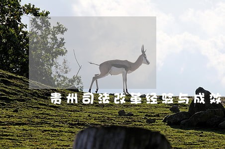 贵州司法改革经验与成效 贵州司法改革经验与成效