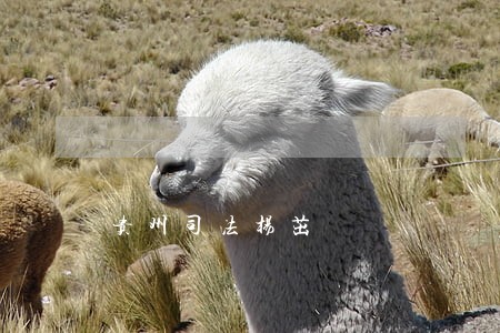 贵州司法杨茁 贵州司法杨茁