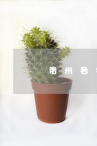 贵州各银行欠款逾期利弊 贵州各银行欠款逾期利弊