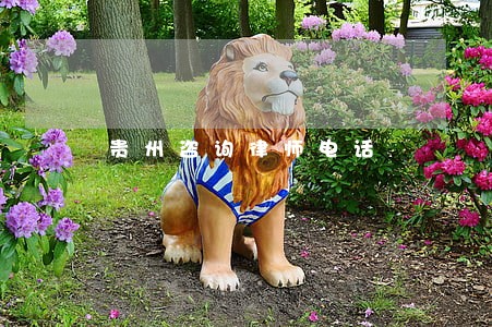 贵州咨询律师电话 贵州咨询律师电话