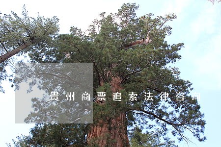 贵州商票追索法律咨询 贵州商票追索法律咨询