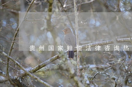 贵州国家赔偿法律咨询热线 贵州国家赔偿法律咨询热线