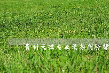 贵州天柱专业债务纠纷律师 贵州天柱专业债务纠纷律师