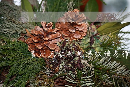贵州夫妻共同债权债务律师