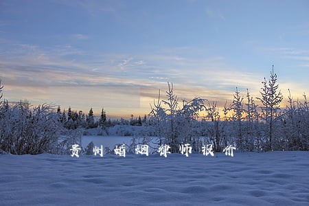 贵州婚姻律师报价 贵州婚姻律师报价