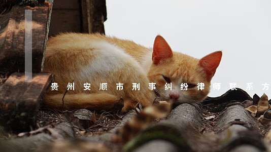 贵州安顺市刑事纠纷律师联系方式 贵州安顺市刑事纠纷律师联系方式
