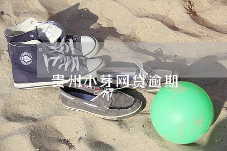 贵州小芽网贷逾期 贵州小芽网贷逾期