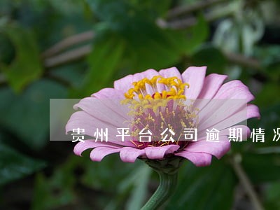 贵州平台公司逾期情况2019年 贵州平台公司逾期情况2019年