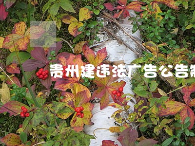 贵州建违法广告公告制度 贵州建违法广告公告制度