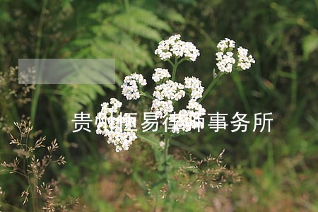 贵州恒易律师事务所 贵州恒易律师事务所