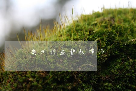 贵州找监护权律师 贵州找监护权律师